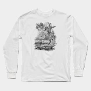 Ram in The Landscape, Vintage Farm Animal Illustration Long Sleeve T-Shirt